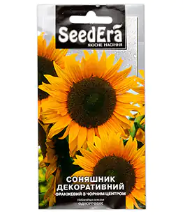 Подсолнух декоративный Оранжевый с черным центром