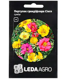 Изображение Насіння квітів Портулак Сингл суміш