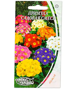 Изображение Насіння квітів Примула садова суміш