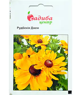 Изображение Семена цветов Рудбекия Джем