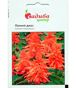 Изображение Семена цветов Сальвия Палкий джаз