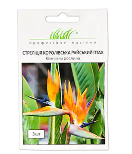 Стреліція королівська Райський птах