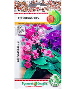 Изображение Семена цветов Стрептокарпус