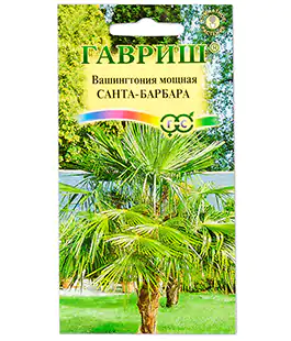 Семена цветов Вашингтония Санта-Барбара
