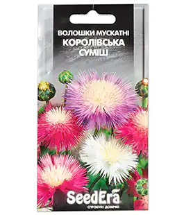 Волошки Королівська суміш