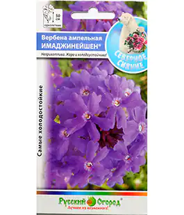 Семена цветов Вербена Имаджинейшен
