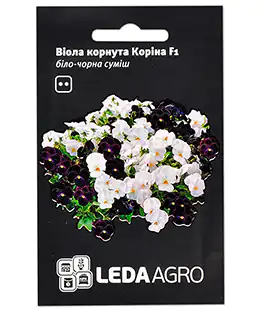 Віола Коріна F1 біло-чорна