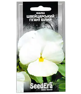 Віола Швейцарський гігант білий