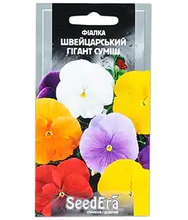 Фіалка Швейцарський гігант суміш