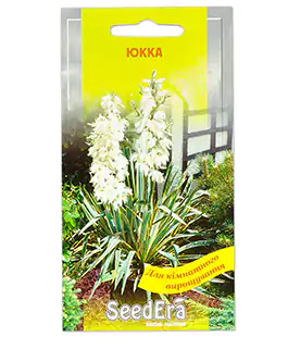 Изображение Семена цветов Юкка