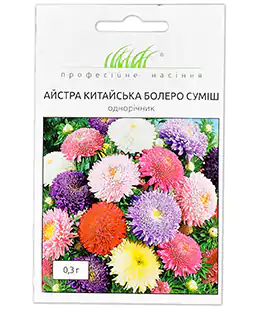 Семена цветов астра Болеро смесь
