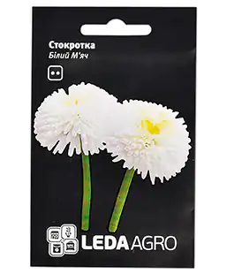 Изображение Семена цветов маргаритка Белый мяч