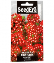 Изображение товара Семена цветов Вербена Гибрид Скарлет