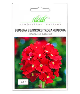 Вербена Красная с большими цветами