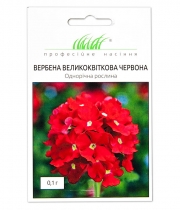 Изображение товара Семена цветов Вербена Красная с большими цветами