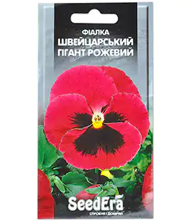 Виола Швейцарский гигант розовый