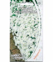Изображение товара Семена цветов Ясколка Биберштейна