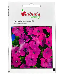Петунія Карлик фіолетова F1
