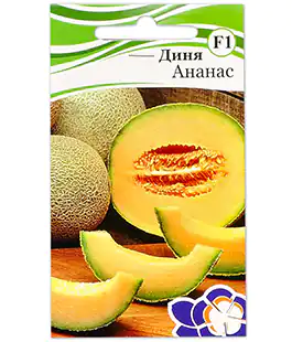 Диня Ананас