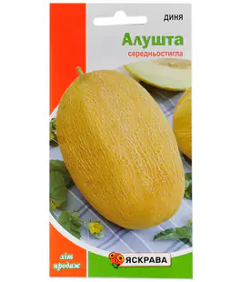 Дыня Алушта