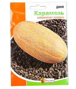 Дыня Карамель