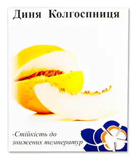 Дыня Колхозница