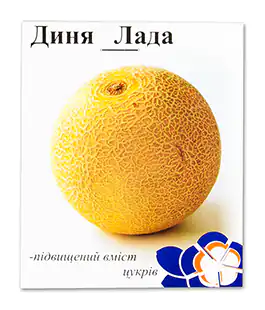 Дыня Лада