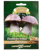 Изображение товара Мицелий грибов Подберезовик обыкновенный