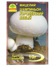 Изображение товара Мицелий грибов Шампиньон Королевский