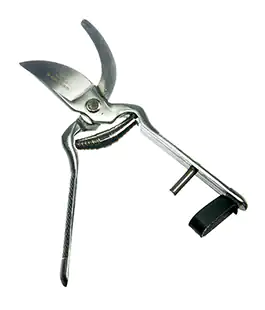 Секатор Forbice vigna 19/5061