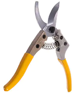 Секатор флористический Professional SK5