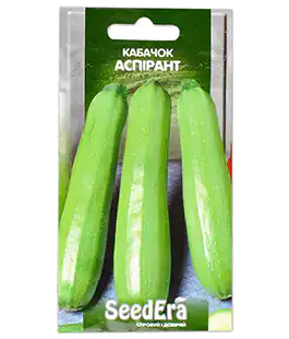 Кабачок Аспирант