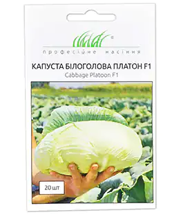 Капуста белокочанная Платон