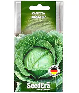 Капуста белокочанная Амагер