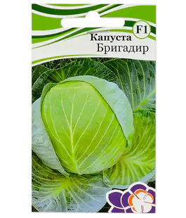 Капуста белокочанная Бригадир F1 20шт