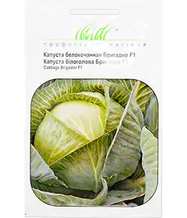 Капуста белокочанная Бригадир