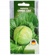 Капуста білокачанна Слава