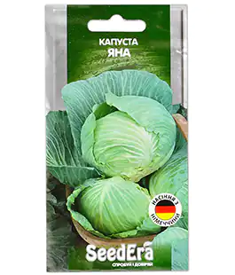 Капуста белокочанная Яна