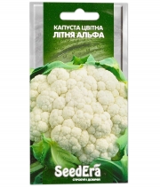 Капуста цвітна Літня Альфа