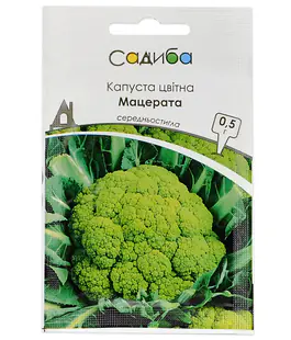 Капуста цветная Мацерата