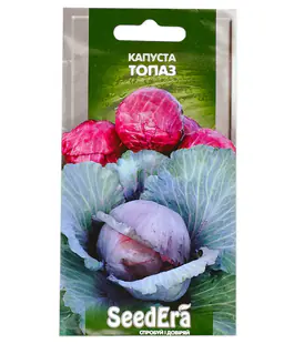 Капуста краснокачанная Топаз