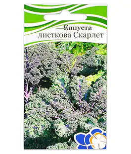Капуста листовая Скарлет