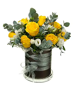 Цветы в коробке - Серебряное Солнце