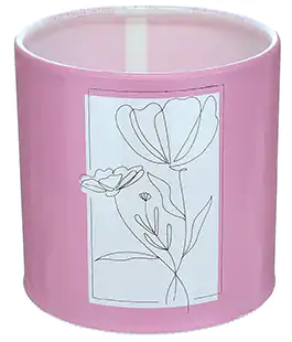 Коробка для цветов пластиковая Flowers розовая 100/100