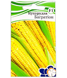 Кукуруза Багратион F1