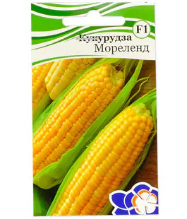Кукурудза Мореленд (GSS 1453)F1
