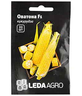 Кукуруза Оватона F1
