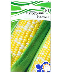 Кукуруза Ракель F1