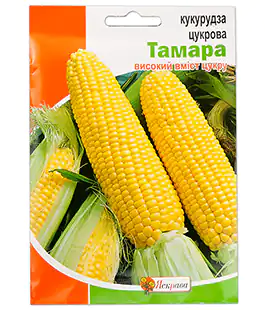 Кукуруза Тамара