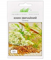 Кмин звичайний